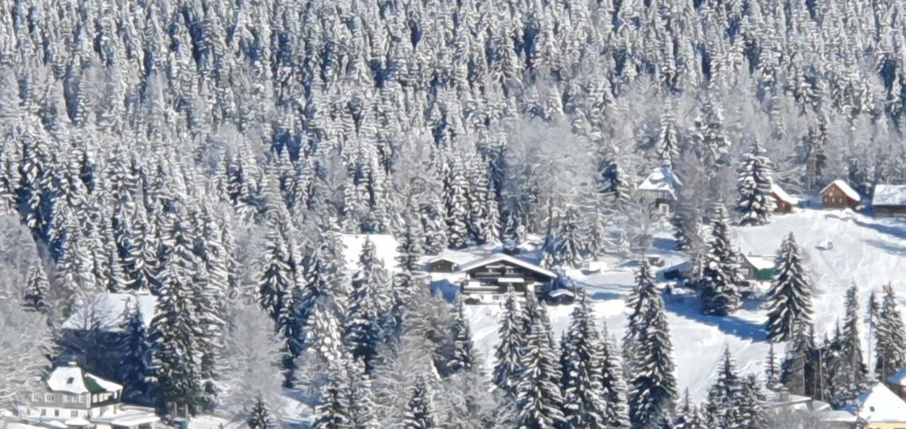 Pension Vinkl Harrachov Εξωτερικό φωτογραφία