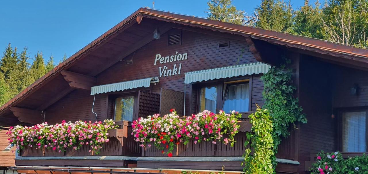 Pension Vinkl Harrachov Εξωτερικό φωτογραφία