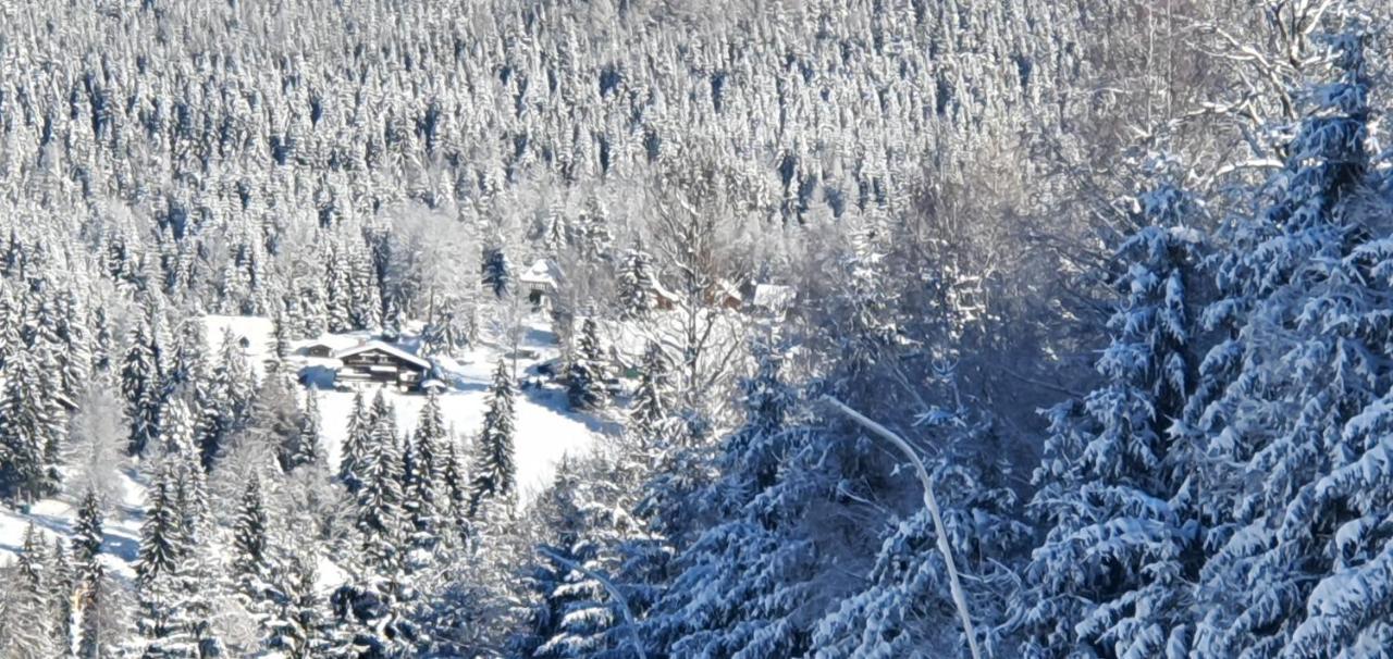 Pension Vinkl Harrachov Εξωτερικό φωτογραφία